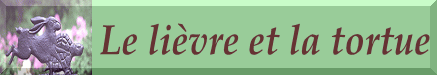 Le lievre et la tortue
